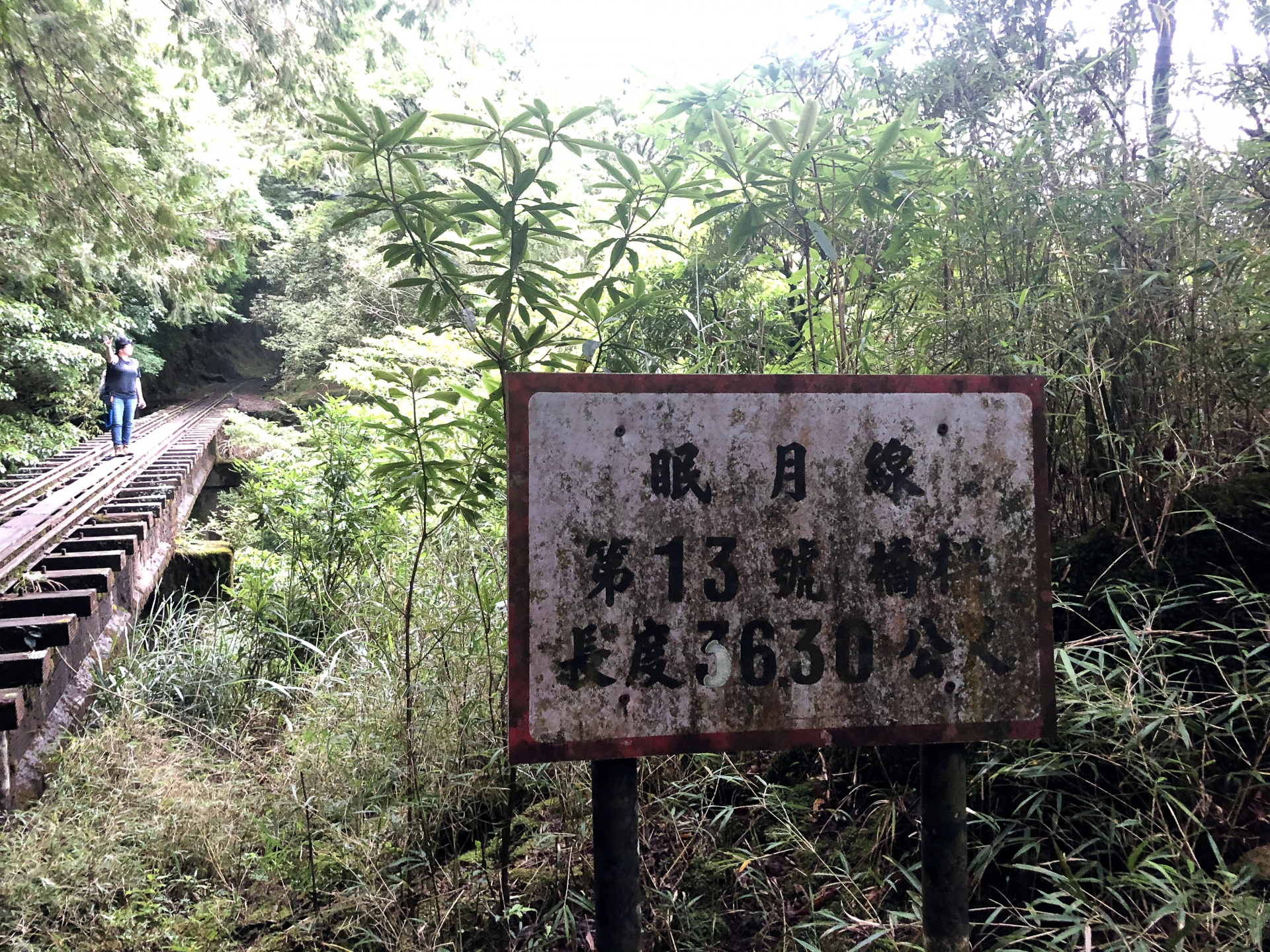 眠月線，走入失落的森林鐵道