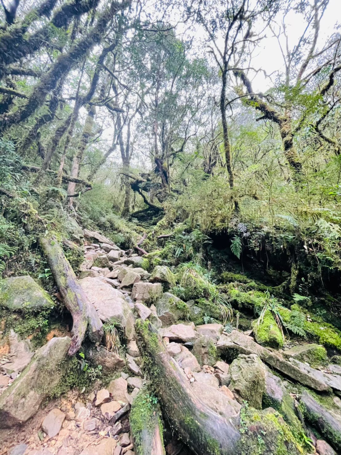 登山越嶺-松蘿湖