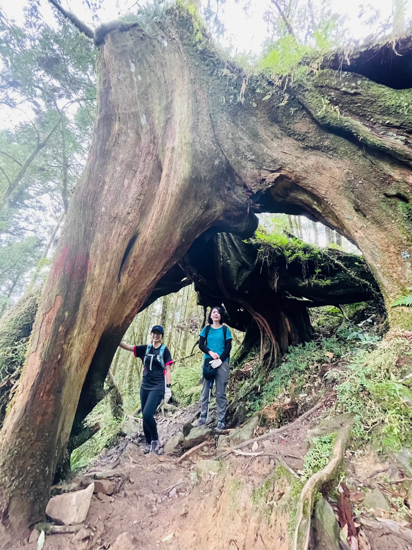 登山越嶺-松蘿湖