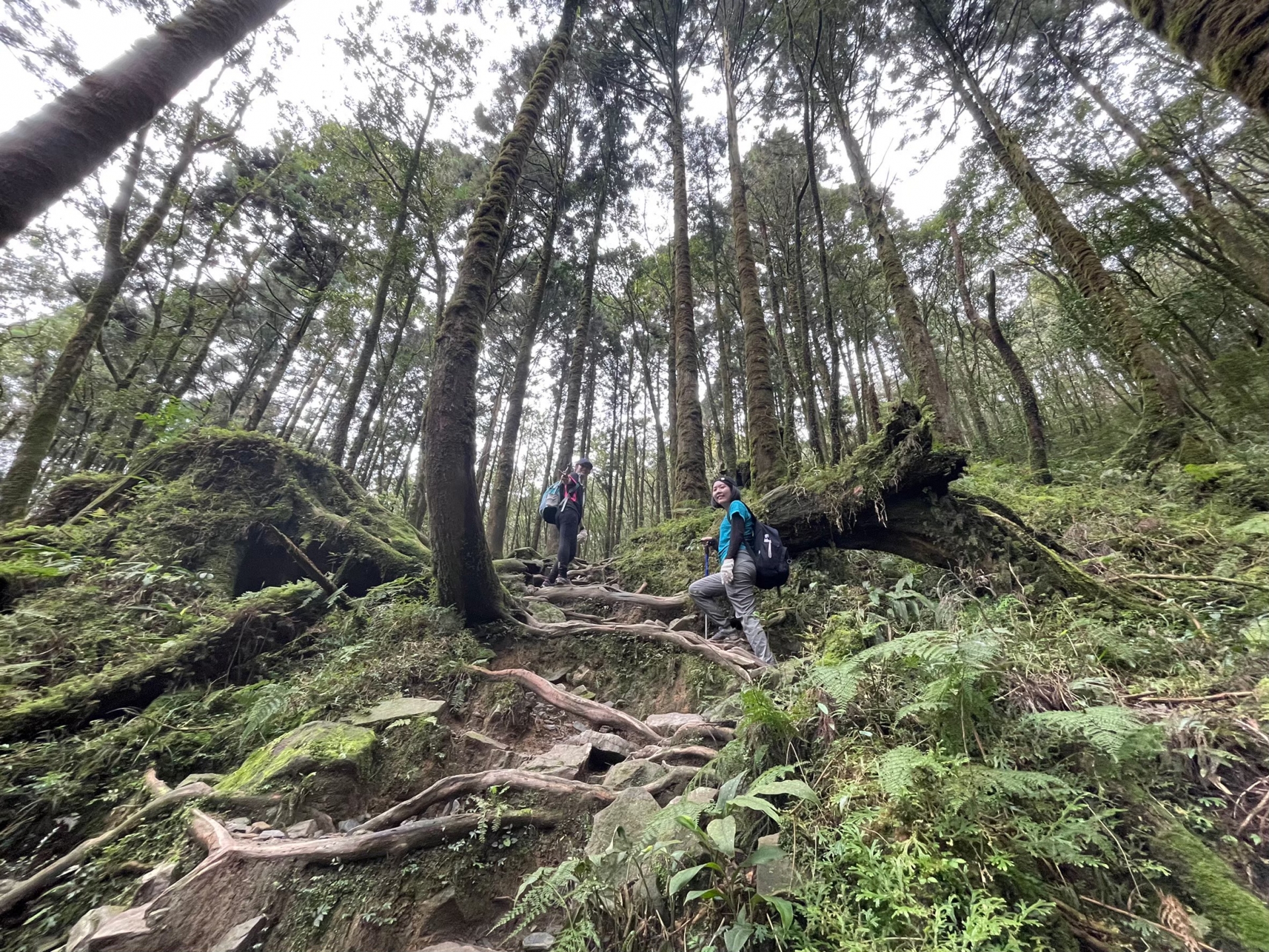 登山越嶺-松蘿湖