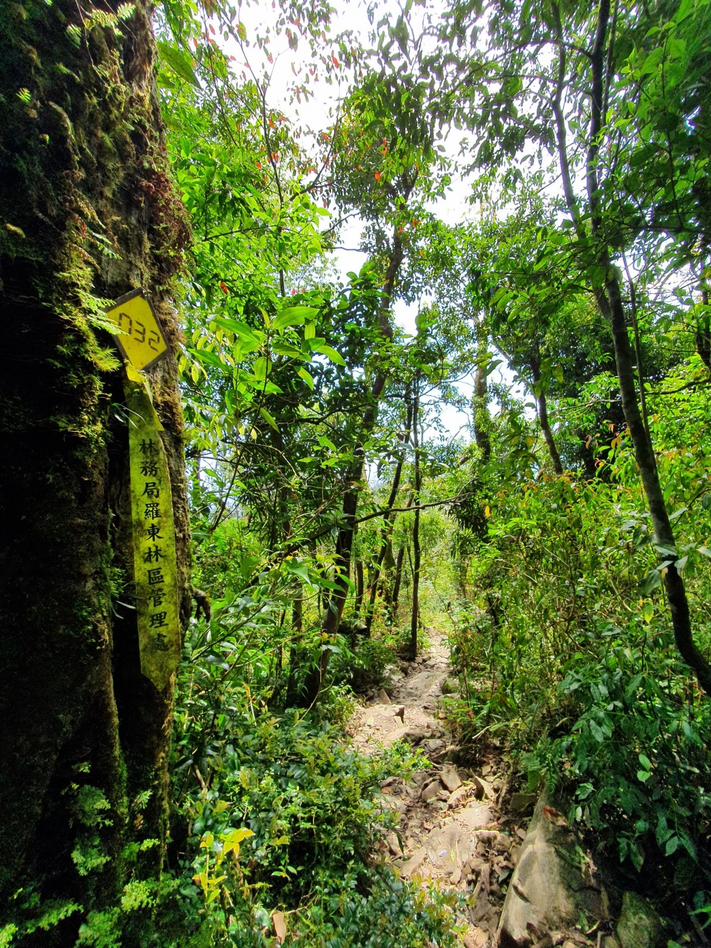 登山越嶺-松蘿湖