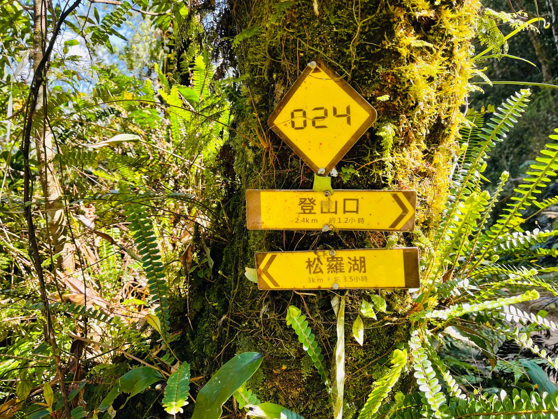 登山越嶺-松蘿湖