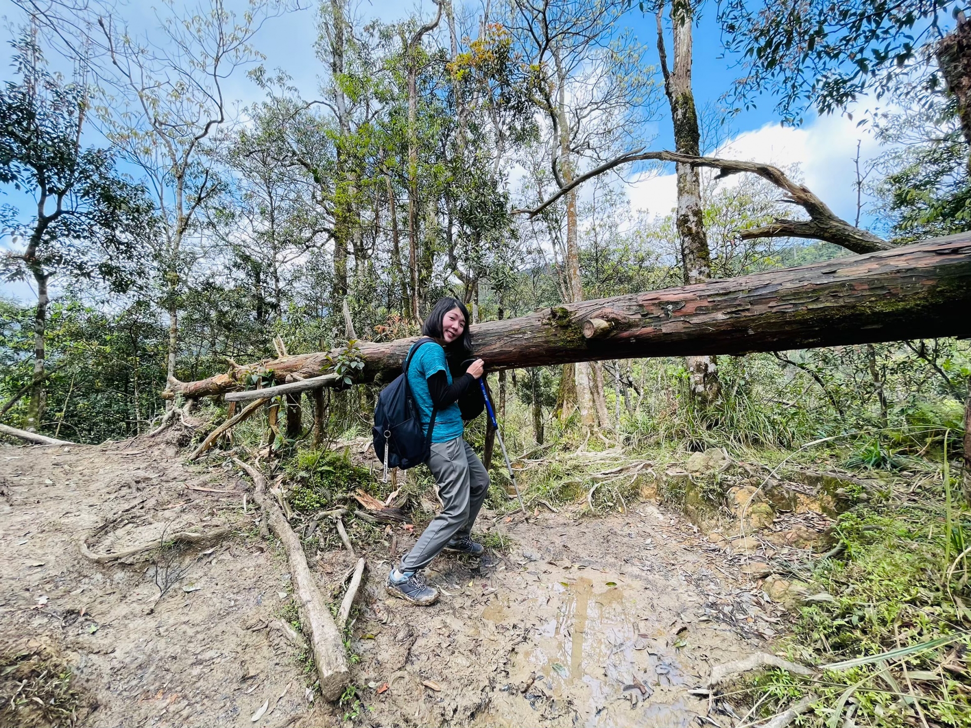 登山越嶺-松蘿湖