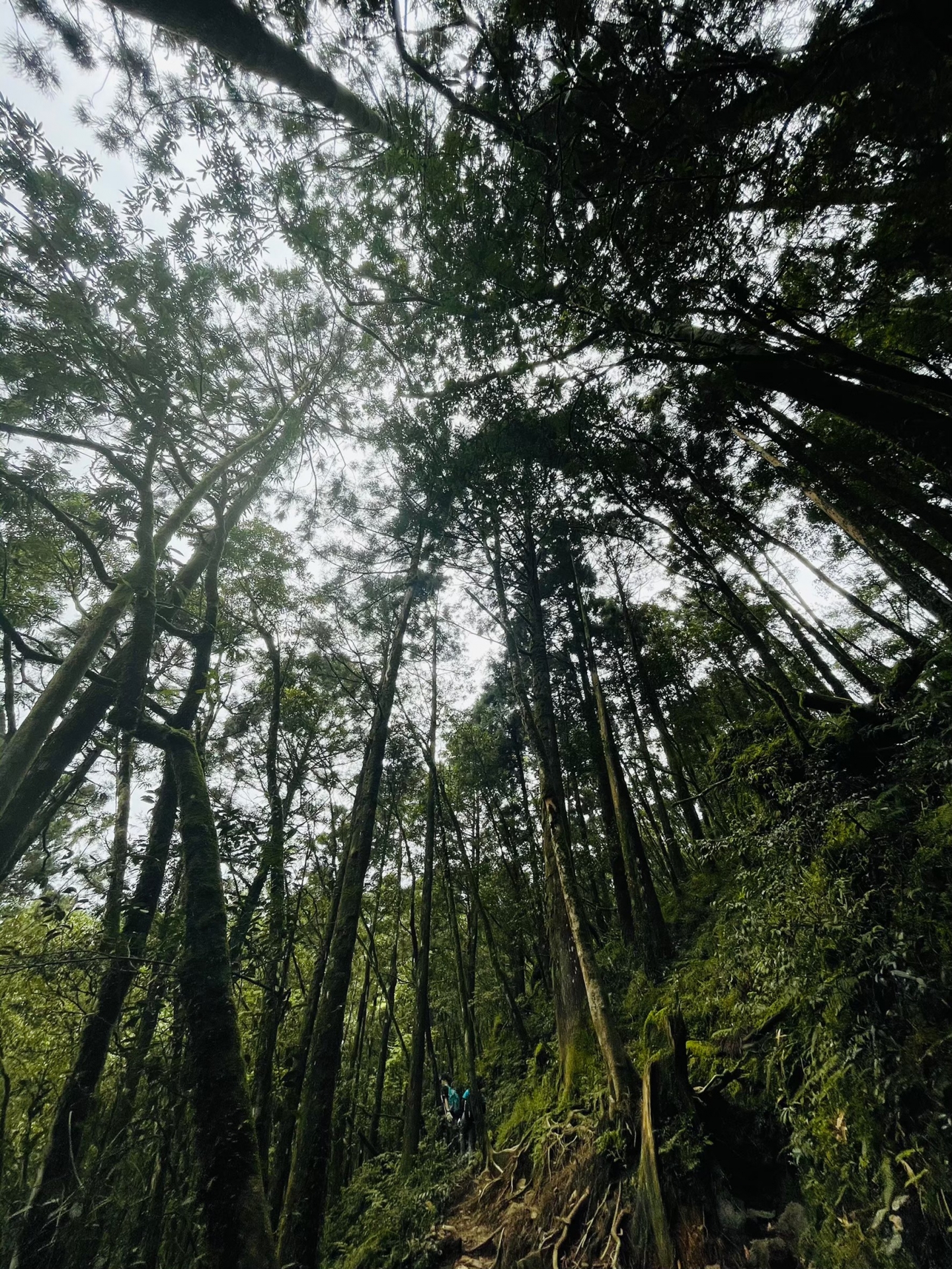 登山越嶺-松蘿湖