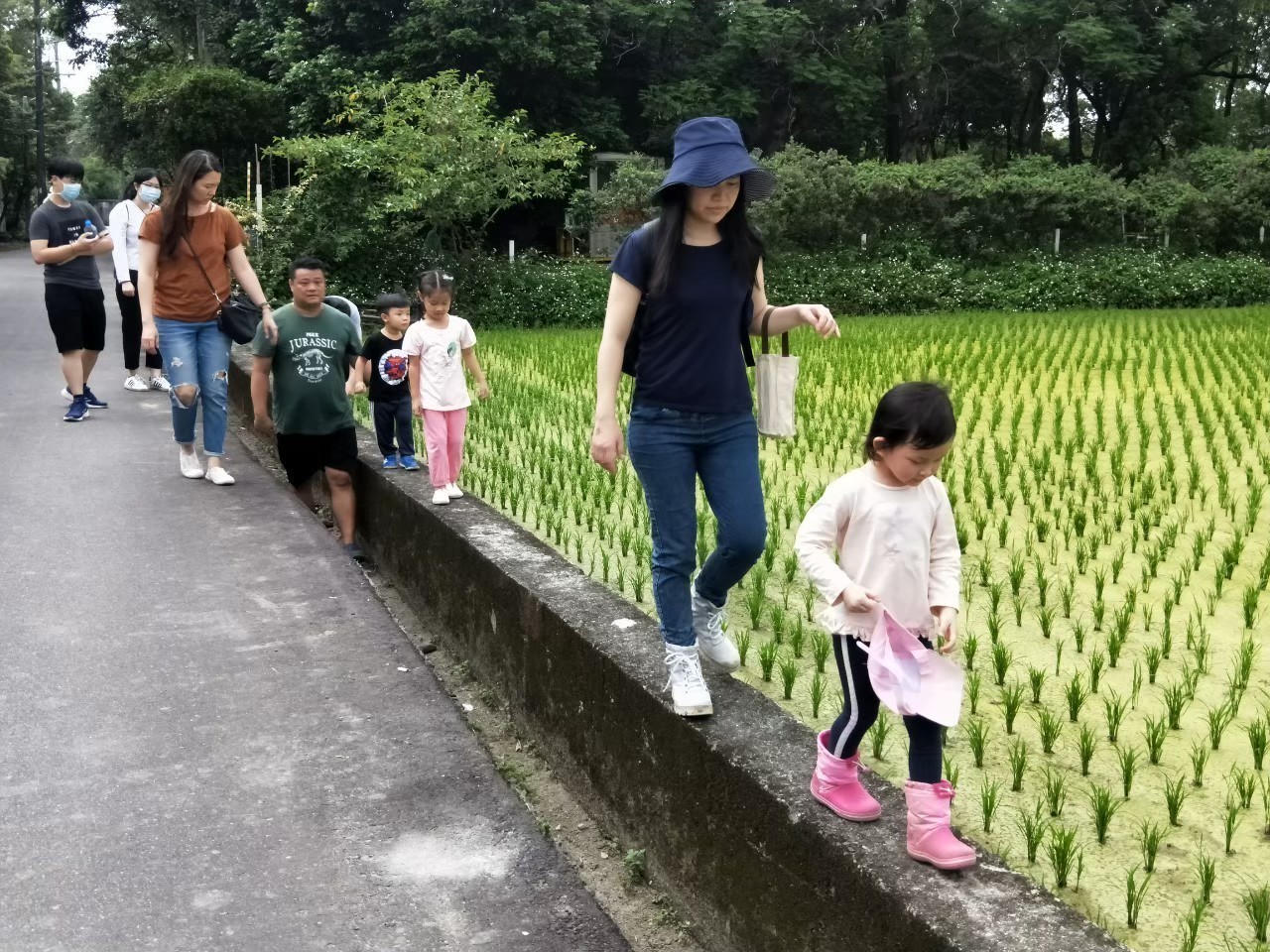 跟著農夫去踩田！桃園祕境～一日農夫踏青趣！