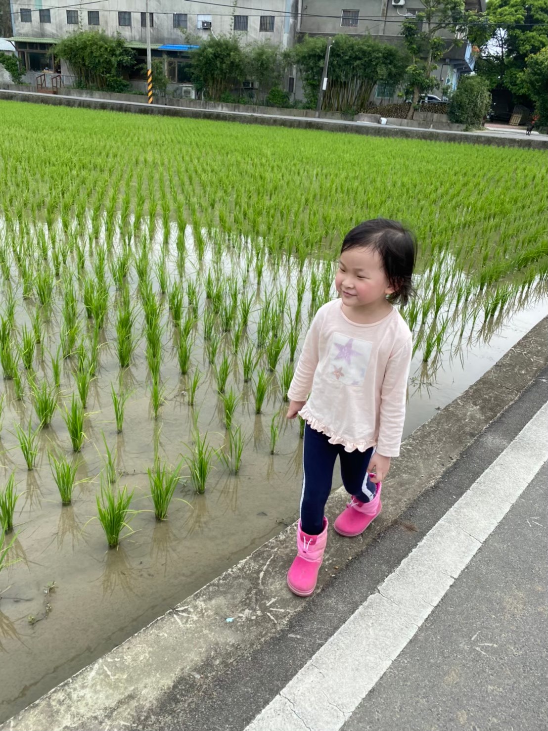 跟著農夫去踩田！桃園祕境～一日農夫踏青趣！