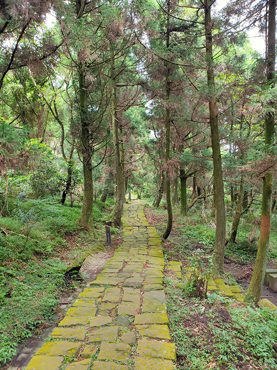 2022金質旅遊獎 得獎行程-身心靈大掃除，養生蛻變之旅