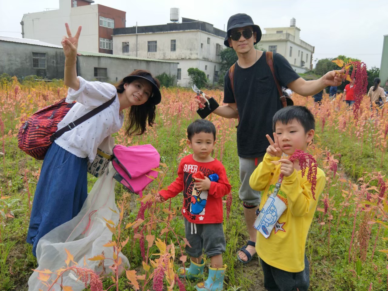 綠合農場-秘境之旅