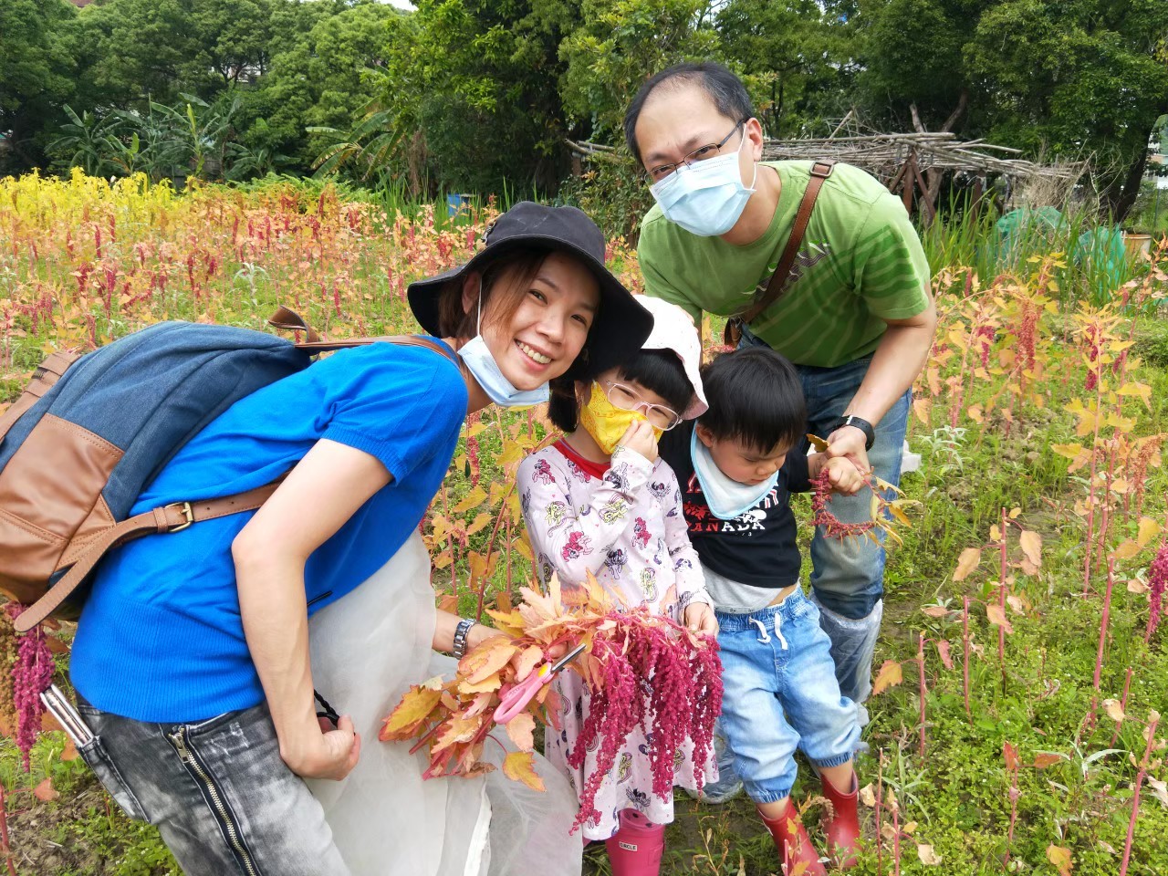 綠合農場-秘境之旅
