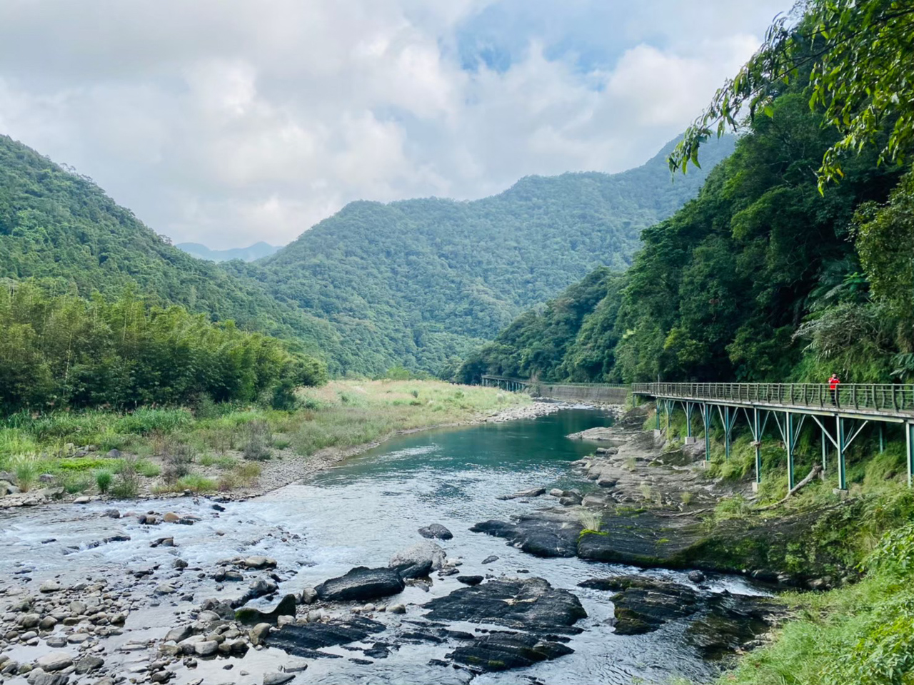 台灣藍鵲茶-秘境之旅
