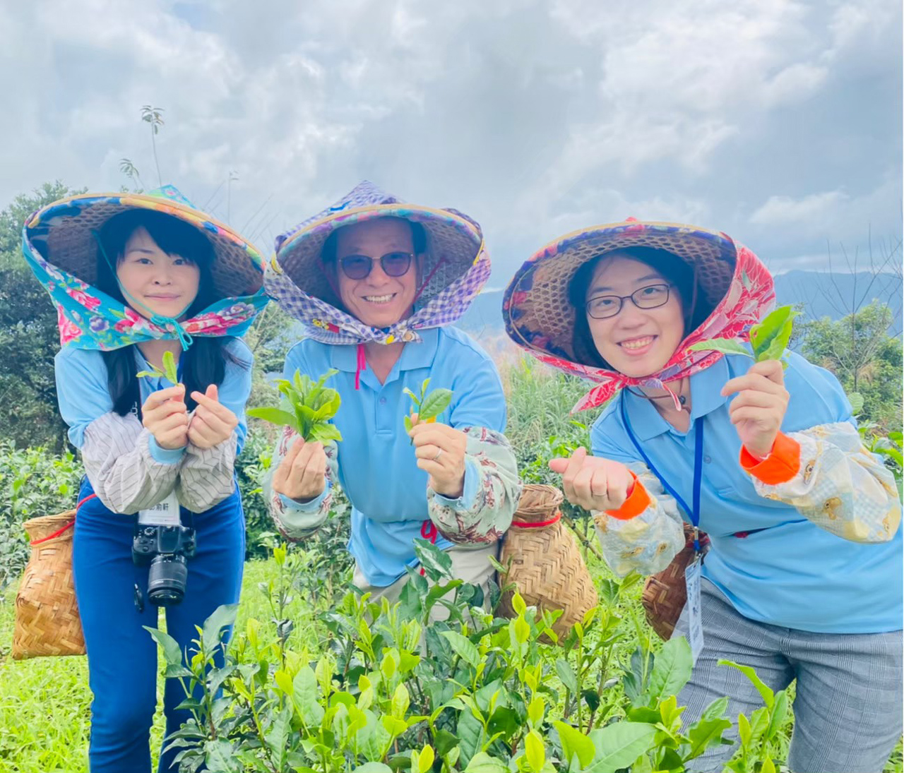 台灣藍鵲茶-秘境之旅