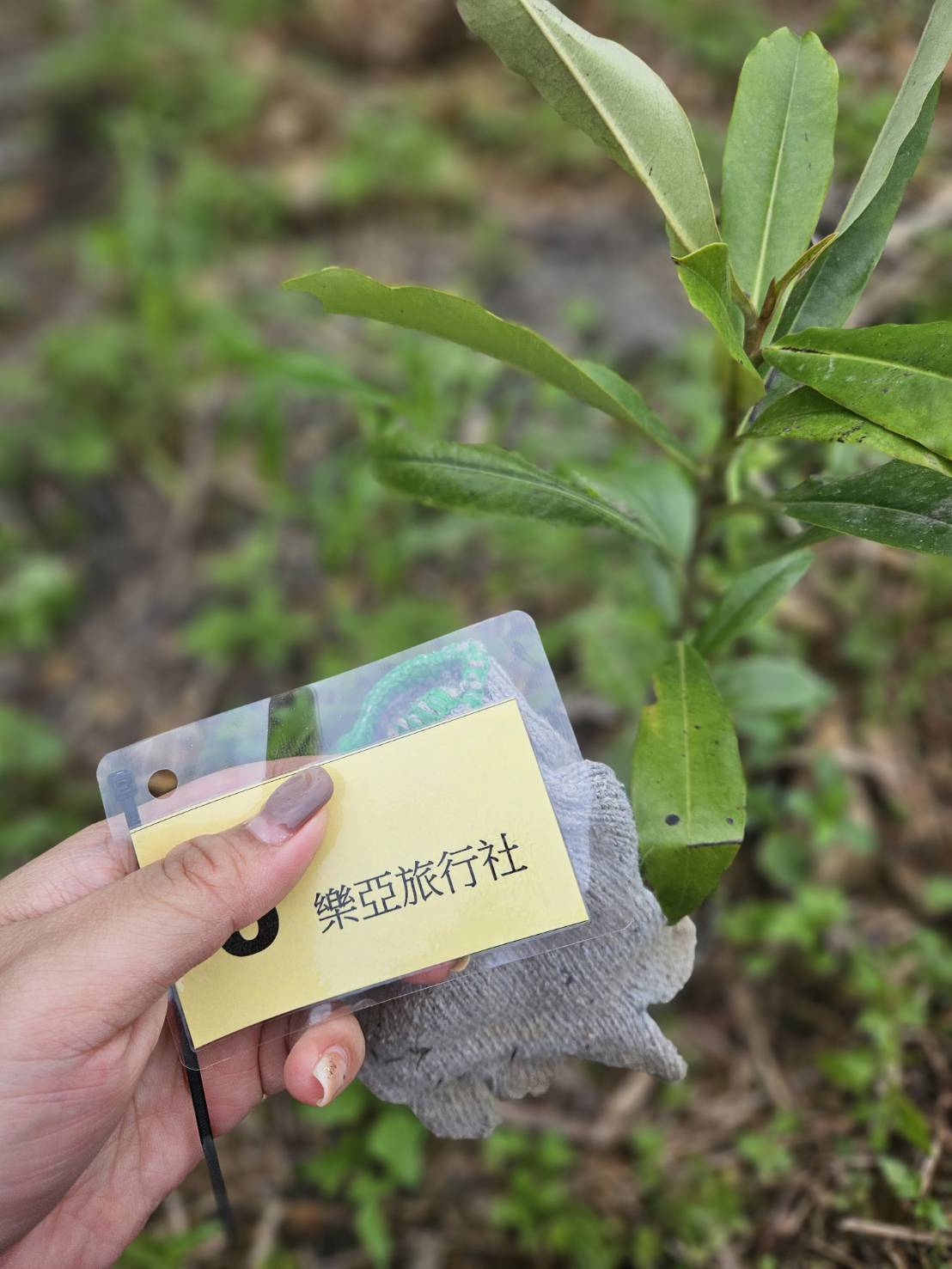 種下的不只是樹，是未來：把植樹行動安排進企業永續旅程